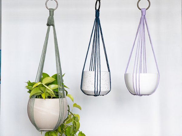 Macrame Plant Hanger - Hanging Plant Holder, No Tail Plant Hanger